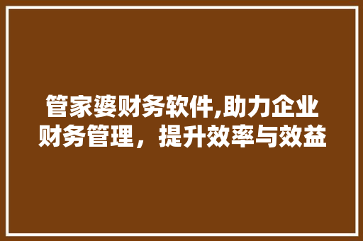 管家婆财务软件,助力企业财务管理，提升效率与效益