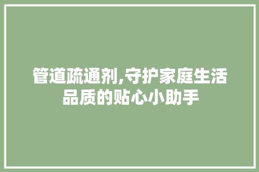 管道疏通剂,守护家庭生活品质的贴心小助手 管道疏通剂,守护家庭生活品质的贴心小助手 网站建设公司