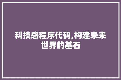 科技感程序代码,构建未来世界的基石 科技感程序代码,构建未来世界的基石 百度SEO