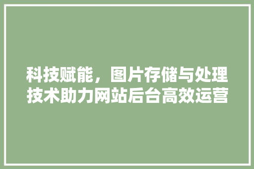 科技赋能，图片存储与处理技术助力网站后台高效运营