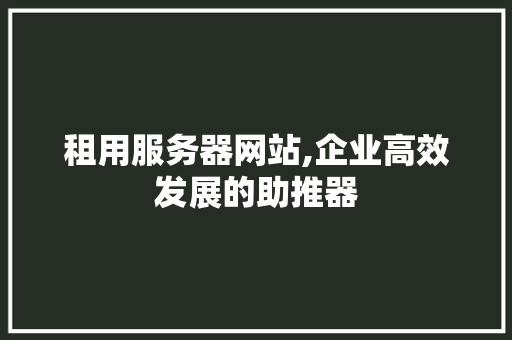 租用服务器网站,企业高效发展的助推器