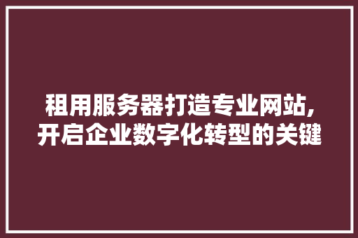 租用服务器打造专业网站,开启企业数字化转型的关键一步