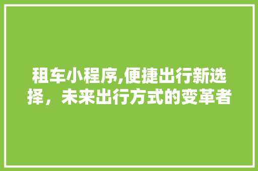 租车小程序,便捷出行新选择，未来出行方式的变革者