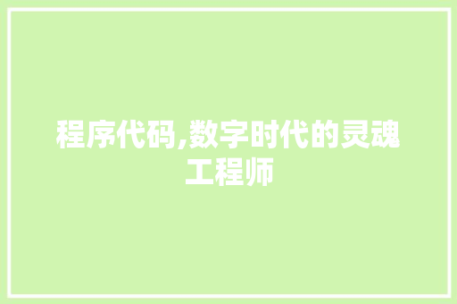 程序代码,数字时代的灵魂工程师