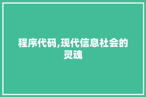 程序代码,现代信息社会的灵魂