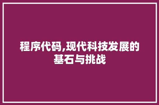 程序代码,现代科技发展的基石与挑战 程序代码,现代科技发展的基石与挑战 必应SEO