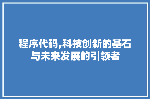 程序代码,科技创新的基石与未来发展的引领者 程序代码,科技创新的基石与未来发展的引领者 百度SEO
