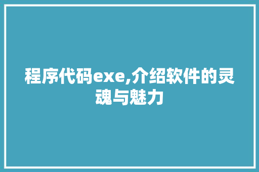 程序代码exe,介绍软件的灵魂与魅力