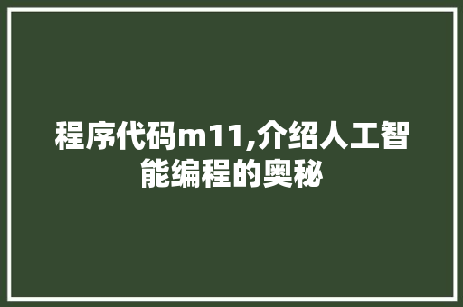 程序代码m11,介绍人工智能编程的奥秘