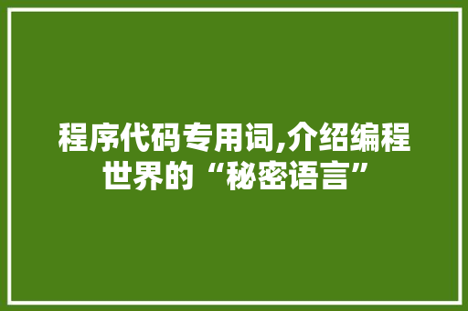 程序代码专用词,介绍编程世界的“秘密语言”