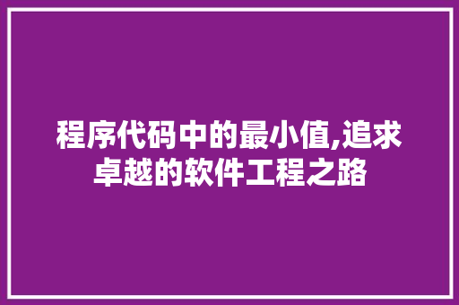 程序代码中的最小值,追求卓越的软件工程之路