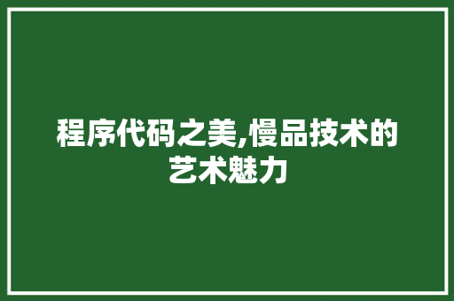 程序代码之美,慢品技术的艺术魅力