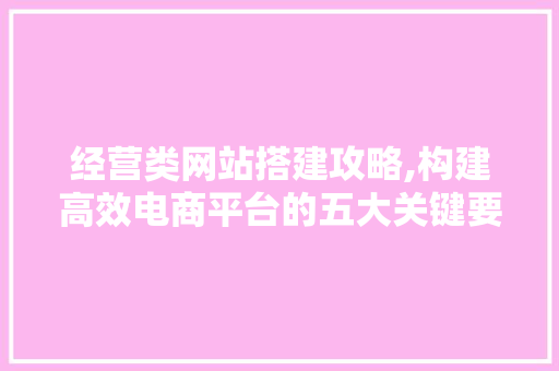 经营类网站搭建攻略,构建高效电商平台的五大关键要素