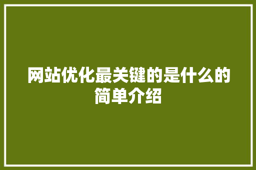 网站优化最关键的是什么的简单介绍 网站优化最关键的是什么的简单介绍 搜狗SEO