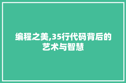 编程之美,35行代码背后的艺术与智慧 编程之美,35行代码背后的艺术与智慧 神马SEO