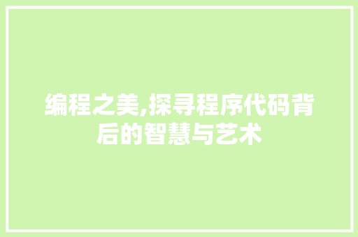 编程之美,探寻程序代码背后的智慧与艺术 编程之美,探寻程序代码背后的智慧与艺术 网站建设公司