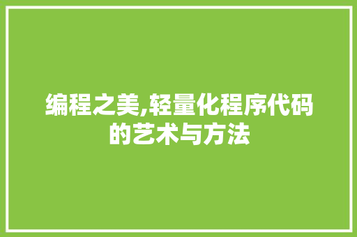编程之美,轻量化程序代码的艺术与方法