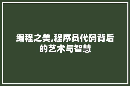 编程之美,程序员代码背后的艺术与智慧