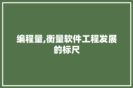 编程量,衡量软件工程发展的标尺
