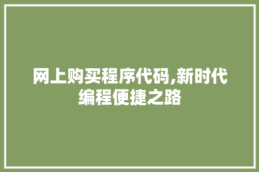 网上购买程序代码,新时代编程便捷之路 网上购买程序代码,新时代编程便捷之路 网站建设公司