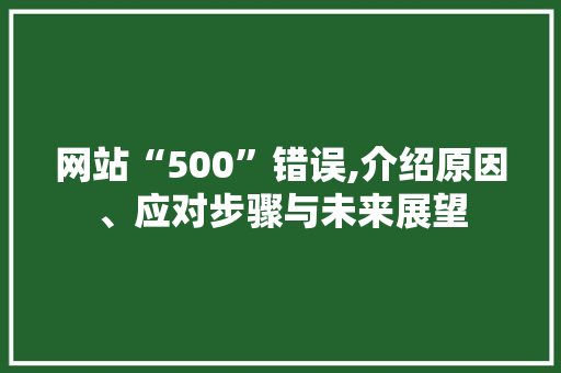 网站“500”错误,介绍原因、应对步骤与未来展望 网站“500”错误,介绍原因、应对步骤与未来展望 SEO关键词