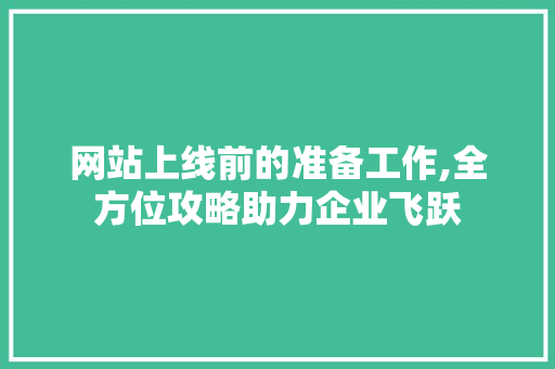 网站上线前的准备工作,全方位攻略助力企业飞跃 网站上线前的准备工作,全方位攻略助力企业飞跃 SEO关键词