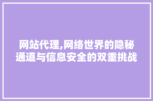 网站代理,网络世界的隐秘通道与信息安全的双重挑战