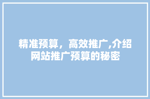 精准预算，高效推广,介绍网站推广预算的秘密
