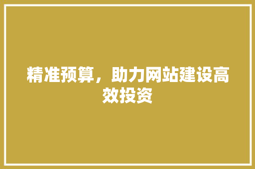 精准预算，助力网站建设高效投资