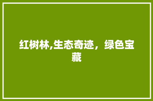 红树林,生态奇迹，绿色宝藏 红树林,生态奇迹，绿色宝藏 网站建设公司