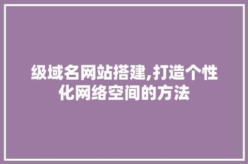 级域名网站搭建,打造个性化网络空间的方法