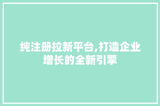 纯注册拉新平台,打造企业增长的全新引擎 纯注册拉新平台,打造企业增长的全新引擎 网站建设公司