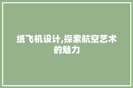 纸飞机设计,探索航空艺术的魅力 纸飞机设计,探索航空艺术的魅力 网站建设公司