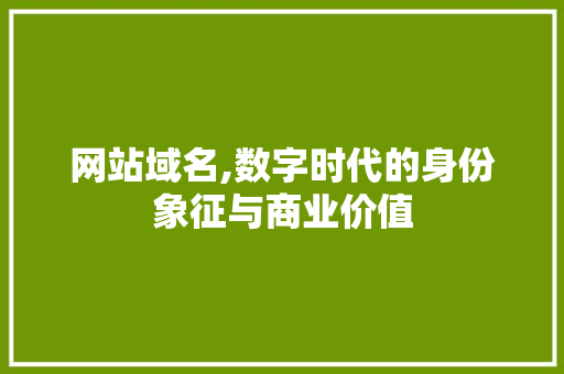 网站域名,数字时代的身份象征与商业价值