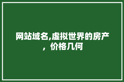 网站域名,虚拟世界的房产，价格几何