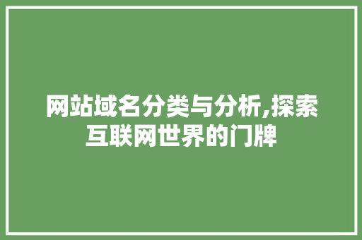 网站域名分类与分析,探索互联网世界的门牌