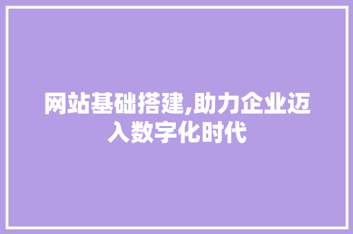 网站基础搭建,助力企业迈入数字化时代