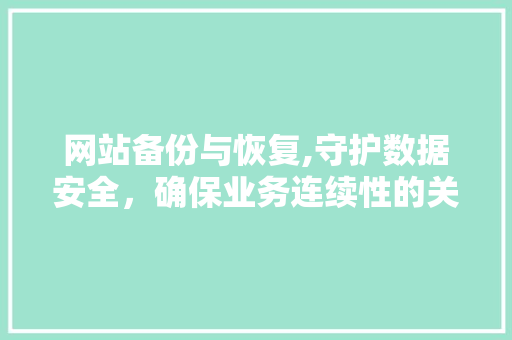 网站备份与恢复,守护数据安全，确保业务连续性的关键步骤