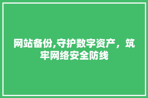 网站备份,守护数字资产，筑牢网络安全防线