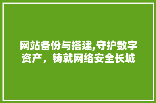 网站备份与搭建,守护数字资产，铸就网络安全长城