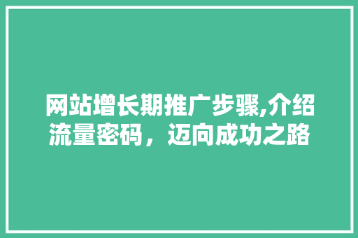 网站增长期推广步骤,介绍流量密码，迈向成功之路