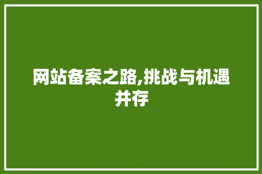 网站备案之路,挑战与机遇并存