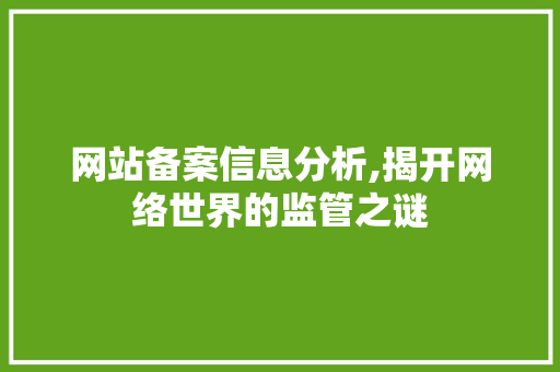 网站备案信息分析,揭开网络世界的监管之谜