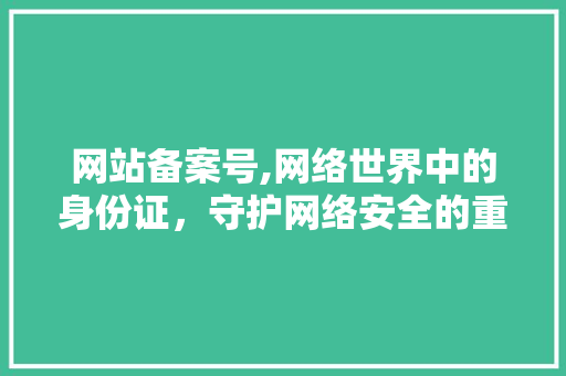网站备案号,网络世界中的身份证，守护网络安全的重要凭证