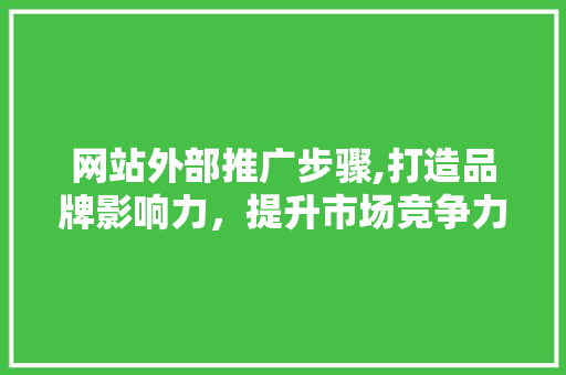 网站外部推广步骤,打造品牌影响力，提升市场竞争力