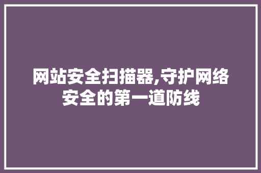 网站安全扫描器,守护网络安全的第一道防线