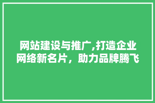 网站建设与推广,打造企业网络新名片，助力品牌腾飞 网站建设与推广,打造企业网络新名片，助力品牌腾飞 网站建设公司