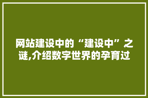 网站建设中的“建设中”之谜,介绍数字世界的孕育过程 网站建设中的“建设中”之谜,介绍数字世界的孕育过程 SEO关键词