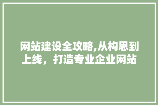 网站建设全攻略,从构思到上线，打造专业企业网站