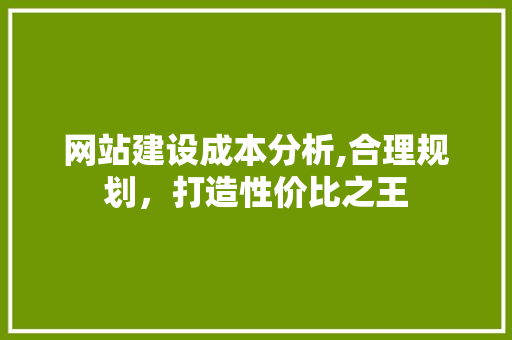 网站建设成本分析,合理规划，打造性价比之王